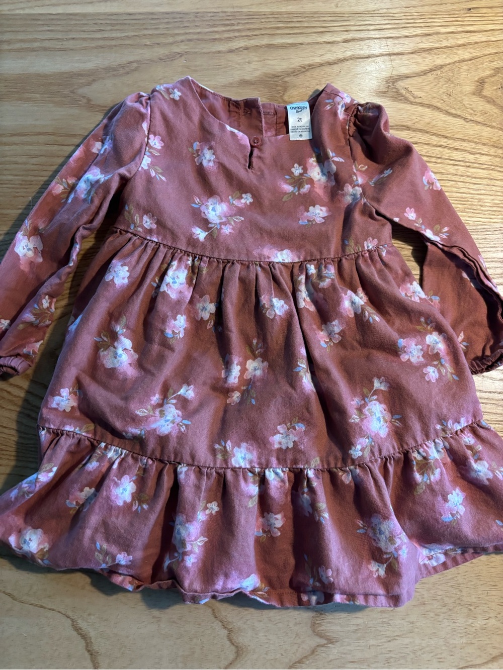 OshKosh B'gosh Rust Pink Floral Long-Sleeve Dress